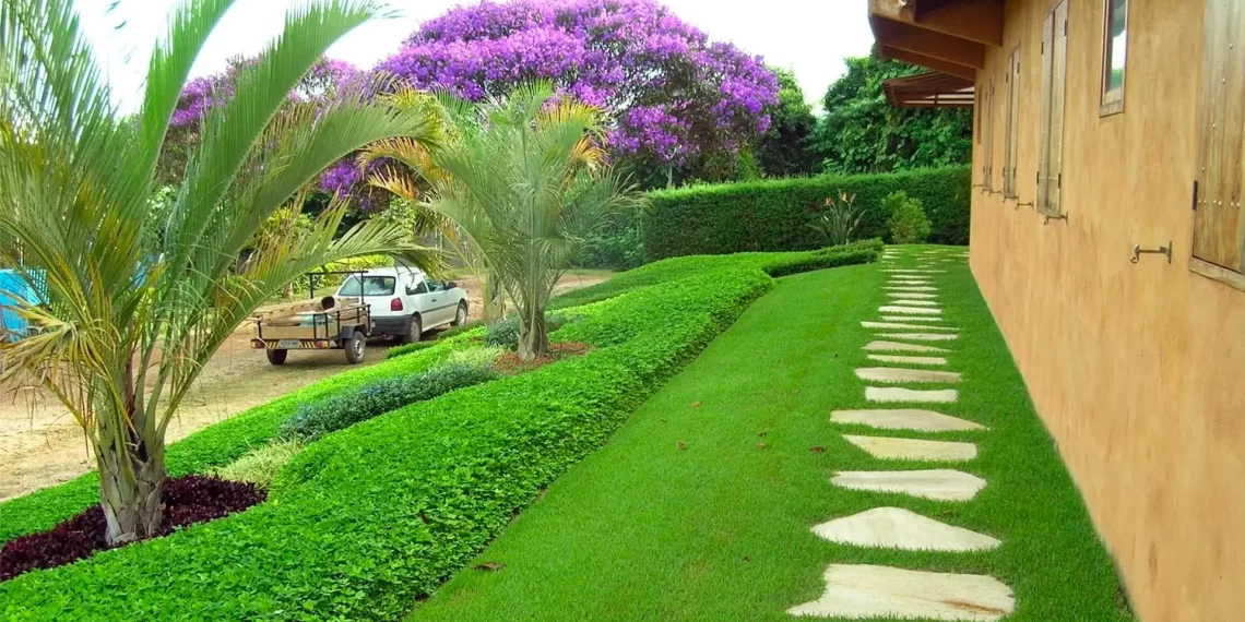 A grama ideal para cada lugar