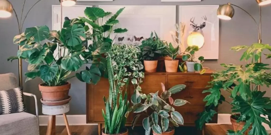 Como decorar um ambiente pequeno?