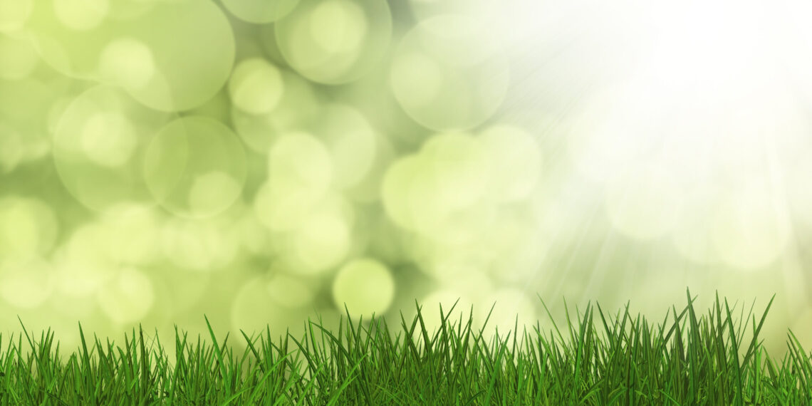 Gramas Sintéticas Proliferam Fungos e Bactérias? Mitos e Verdades Desvendados