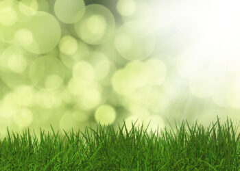 Gramas Sintéticas Proliferam Fungos e Bactérias? Mitos e Verdades Desvendados