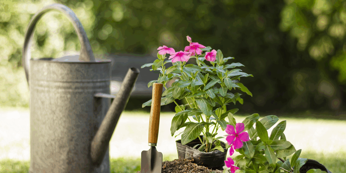 5 Dicas para Criar um Jardim Prático e Sofisticado com Baixa Manutenção